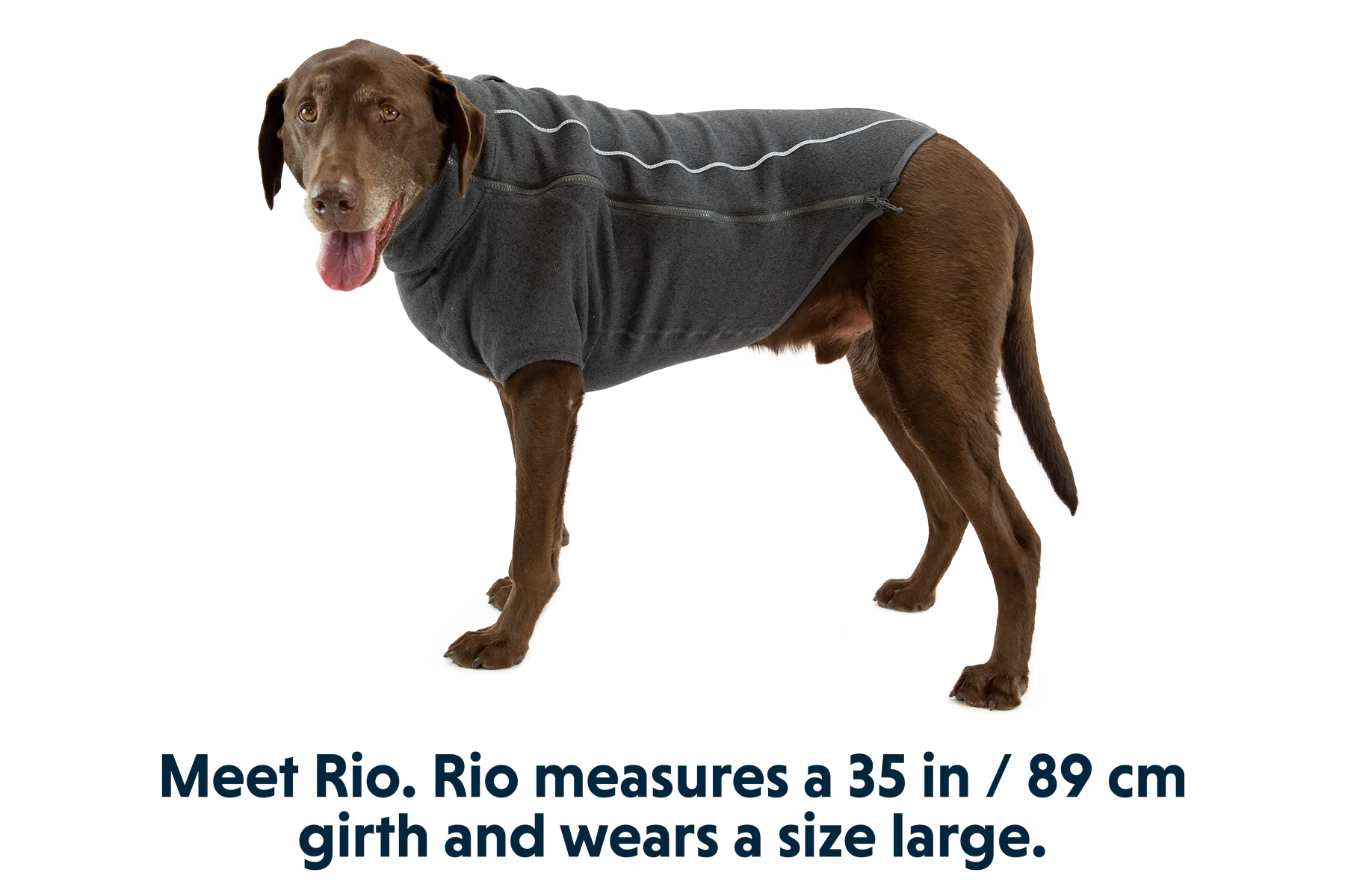 Fernie™ Dog Sweater