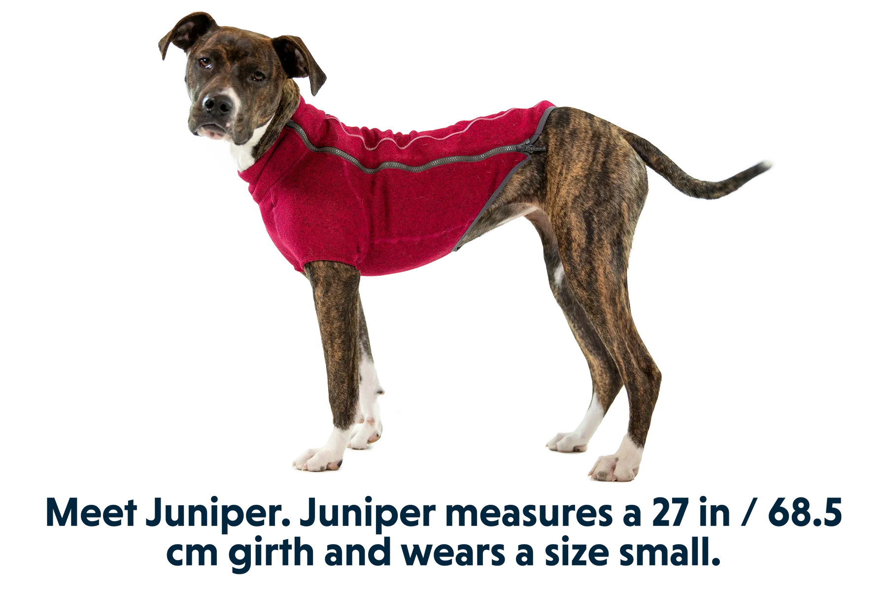 Fernie™ Dog Sweater