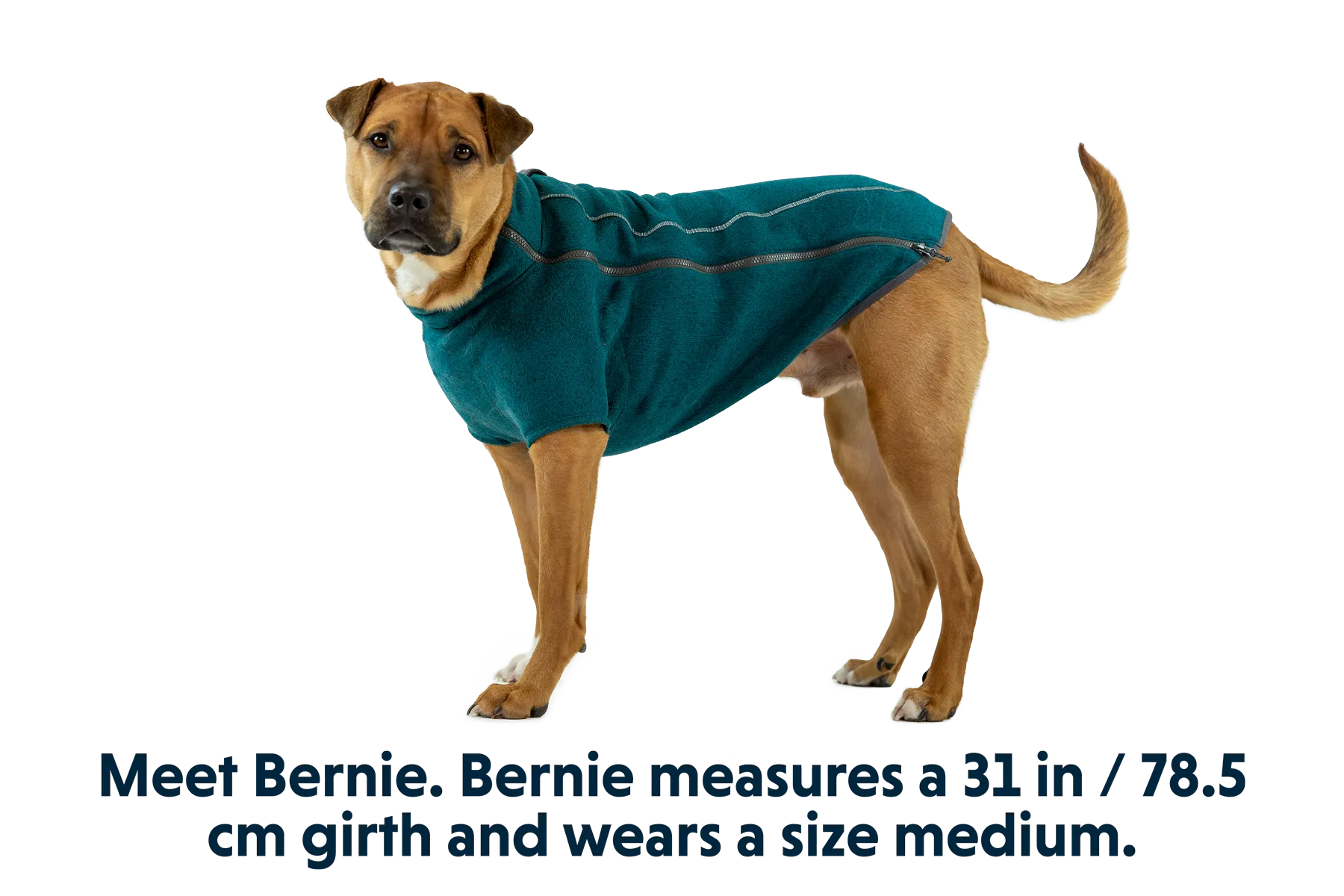 Fernie™ Dog Sweater