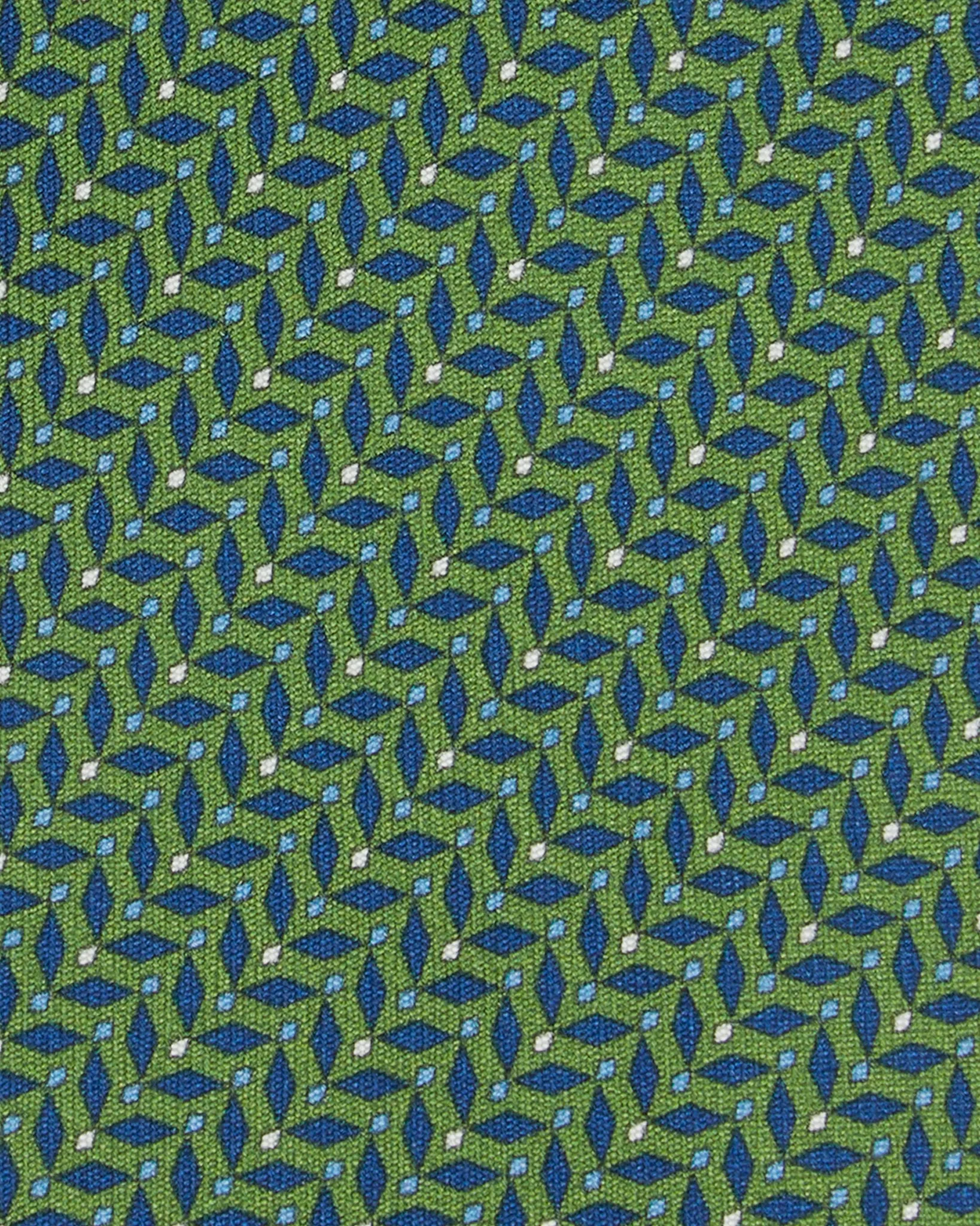 Silk Print Tie in Fern/Blue Diamonds